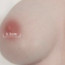 5.5公分 