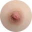 淺棕色 