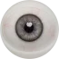 5# 