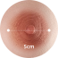 5公分 