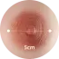 5公分 