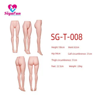 T008 T008